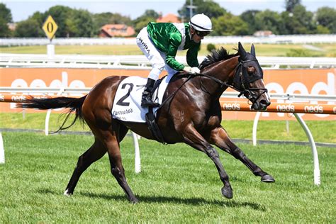 blue diamond stakes 2021|2021 Blue Diamond Stakes Field Confirmed: Enthaar Takes on Boys.
